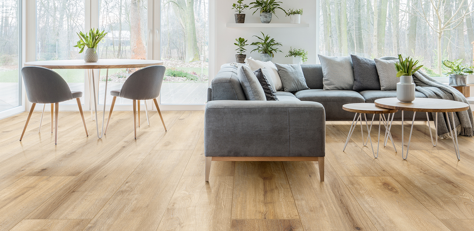 Monterrey Tile Company - Shop Honey products today!